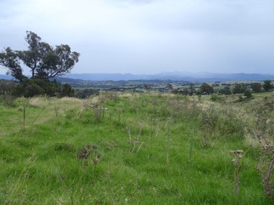 Could This Be Your New Hobby Farm?