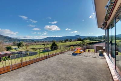 Elevated With Views