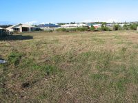 7 Tulipwood, Coral Cove