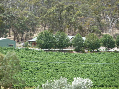 LIFESTYLE PROPERTY -4kms township Clare, modern home, 1.5a native SCRUB/WOODLAND, 3.5a garden vineyard