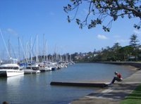 ***REDUCED*** BACKPACKERS BY THE BAY 