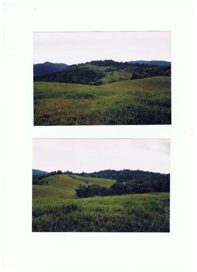 Unique fenced property 613 acres on 4 titles