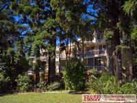 3/34 Mallawa , Edgar Bennett Avenue, Noosa Heads