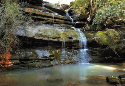 Beautiful Waterfalls, Unique Lifestyle Home on Massive 6146m2 Close to All Amenities