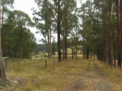 Natural Surrounds