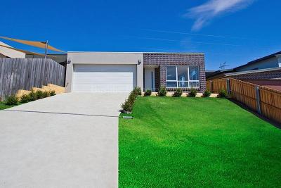 Brand New with a Clear View!