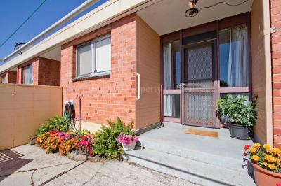 Super Cheap Newstead!