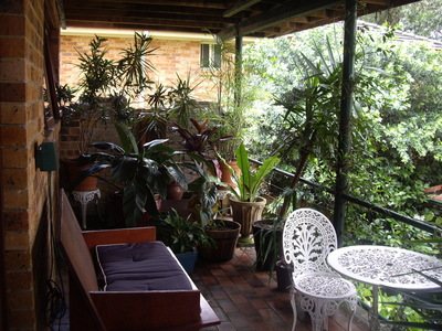 Application Approved