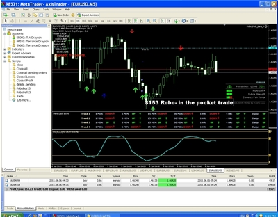 One-to-One tutoring Money market (FOREX)