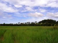 ADJOINING LARGE ACREAGES CLOSE TO EUMUNDI - RIVER FRONTAGES