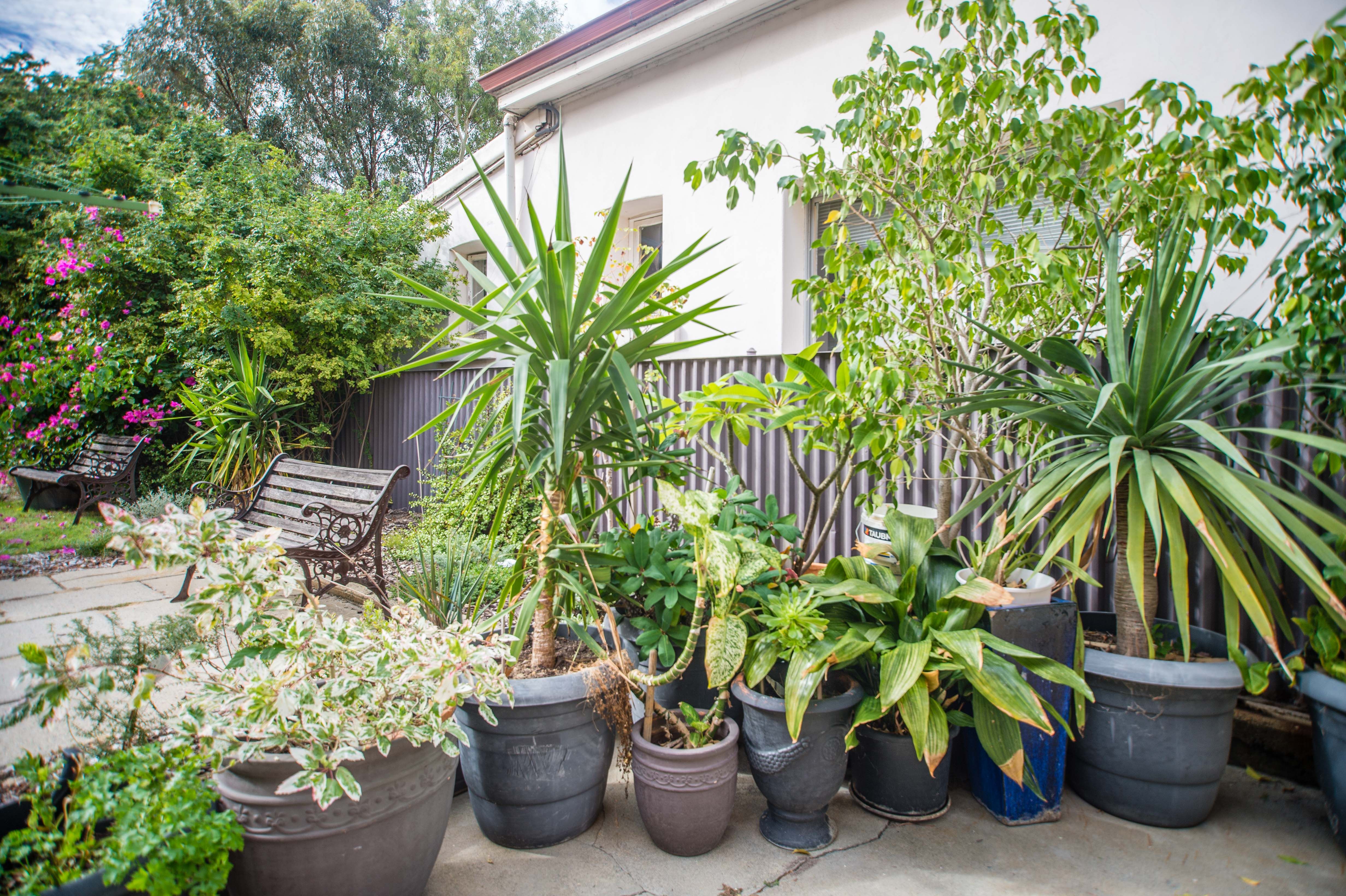 6 182 South Terrace Fremantle WA 6160 Apartment For Lease