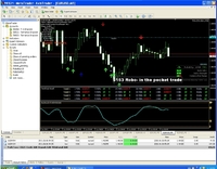 One-to-One tutoring Money market (FOREX)