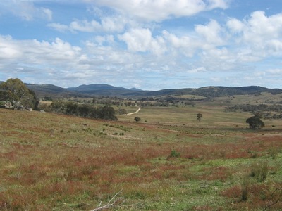 Cherry's Gully