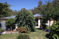 Quality Family Home on 15.6 Acres