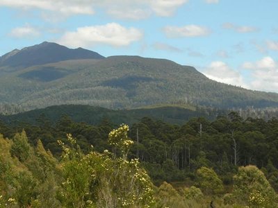Secluded 117 Acres