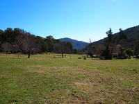 Land on the Ovens River