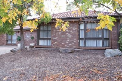 Home Seeks to Meet Family-View to Ongoing Relationship