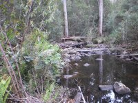 Native Bushland – 3.45 Acres