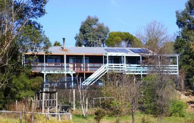 15 Candelo St