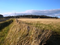 Hobby Farm or Investment