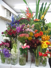 Boutique Florist in Westmead/Wentworthville