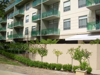 Luxury Inner City Living!