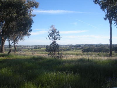  9 Acres . Main Rd  Frontage.Elect