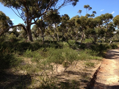 3.75 Ha  Block on top of Hill