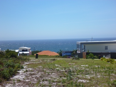 Dolphin cove