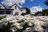 Roslyn &ndash; Large Country Homestead &ndash; 22 acres &ndash; 7 Bed&ndash; 3 Bath