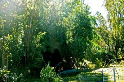 109A Pine Mountain Road, Brassall
