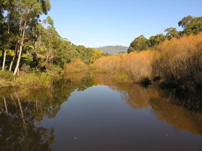 Riverfront x5 Lots $115,000