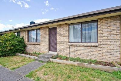 Break Into The Market With This Beauty!