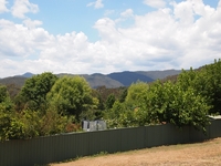 Central plus Views