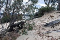 The Dunes &ndash; One (1) Kilometre Absolute Lake Front, Open Pasture