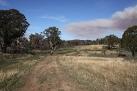 Lot 2