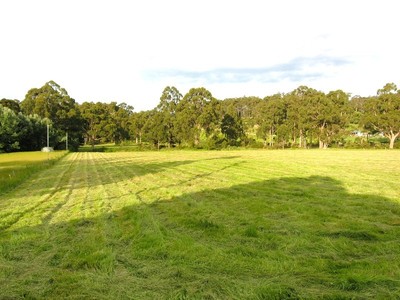 Fertile 4 ½ Acres