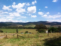 22 Acres, Build in a Natural Bush Setting