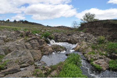 Great Position in Cooma