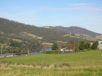 The Perfect Gourmet Farm - 4.5 Acres
