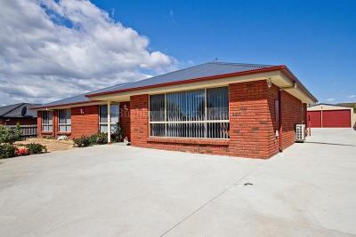 Fantastic Family Home