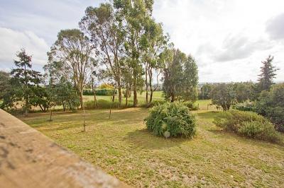 Five Acres and Fantastic Country Home!