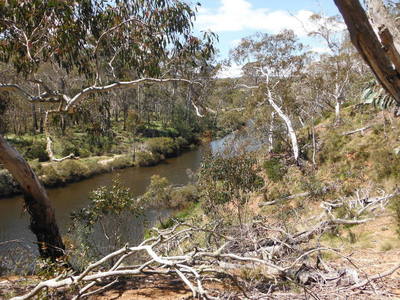  ACREAGE, VIEWS & GREAT POTENTIAL