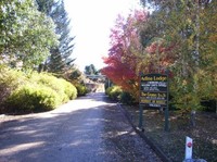 Adina Lodge - Location! Lifestyle! Income!