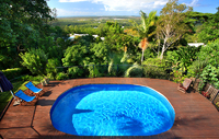 YOU'LL FEEL ON TOP OF THE WORLD! DUAL LIVING???