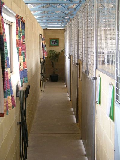 Boarding Kennels / Residence /Acres - Peak Hill 