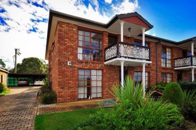 Privacy & Views with an Affordable Price Tag