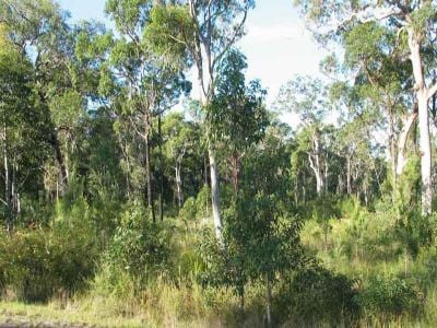 Lot 2732 Carrington Road, North Arm Cove
