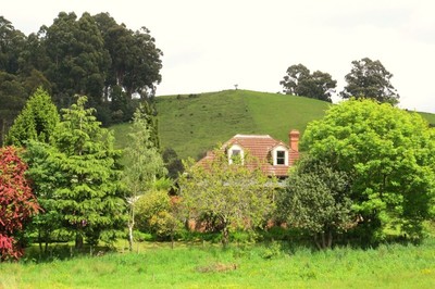 Charm and Potential - 19 Acres