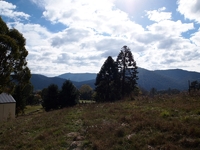 Lovely elevated half acre block with views